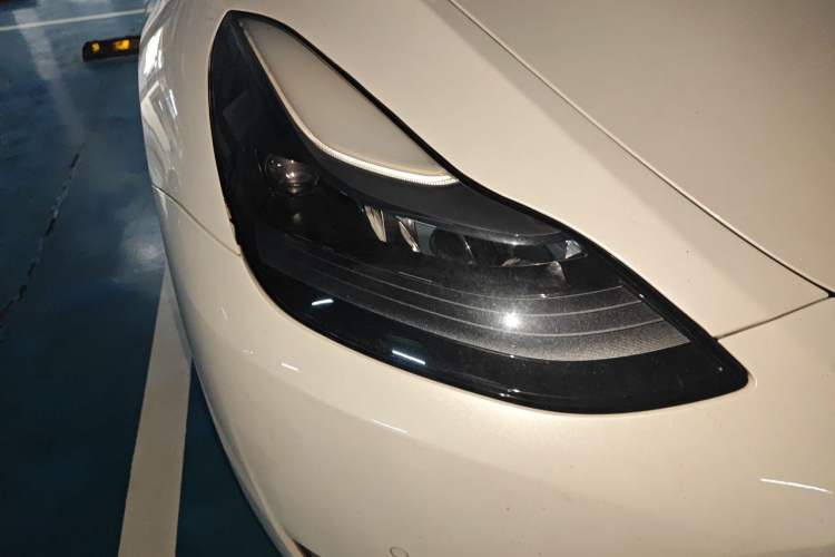Used Tesla Model Y 2022 Revised Version Long-Range All-Wheel Drive Exterior 6