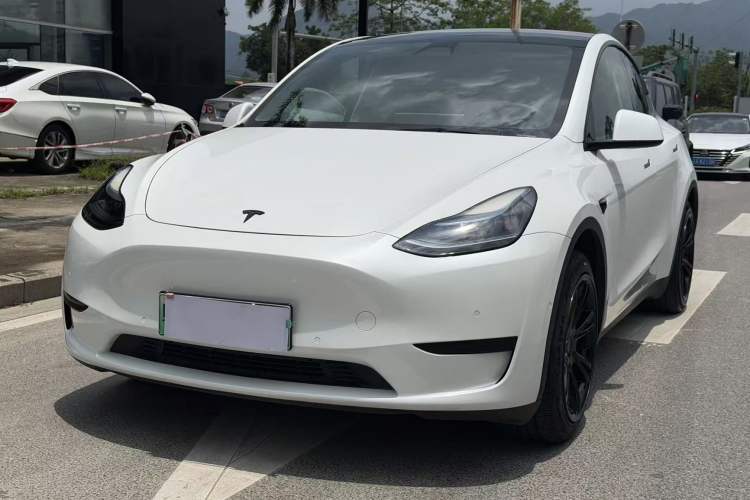 Used Tesla Model Y 2022 Revised Version Rear-Wheel Drive Exterior 6