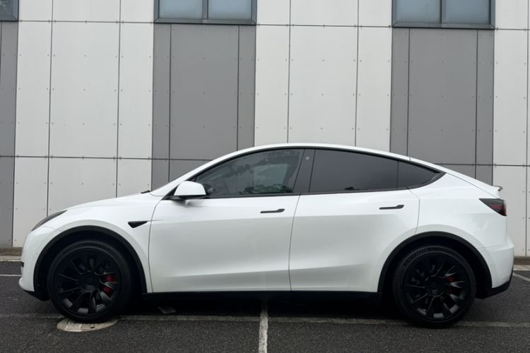 Used Tesla Model Y 2022 Rear-Wheel-Drive Version Exterior 6