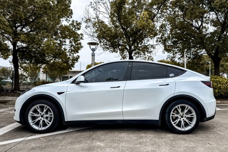 Used Tesla Model Y 2022 Rear-Wheel-Drive Version Exterior 6