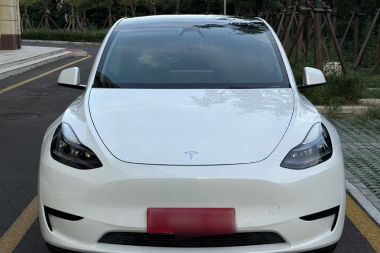 Used Tesla Model Y 2022 Rear-Wheel-Drive Version Exterior 6