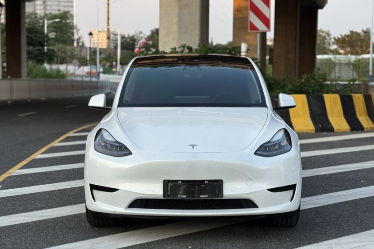Used Tesla Model Y 2022 Rear-Wheel-Drive Version Exterior 6