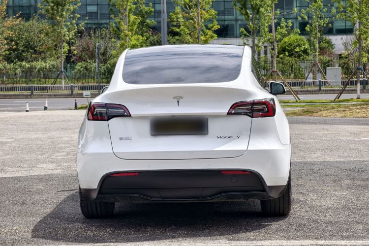 Used Tesla Model Y 2022 Rear-Wheel-Drive Version Exterior 6