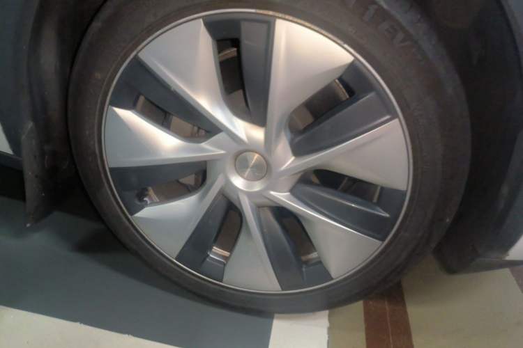 Used Tesla Model Y 2022 Rear-Wheel-Drive Version Exterior 7