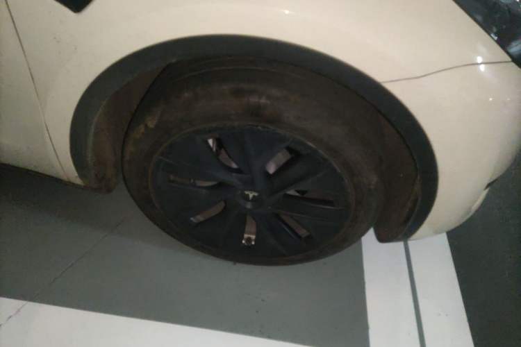 Used Tesla Model Y 2022 Revised Version Rear-Wheel Drive Exterior 7