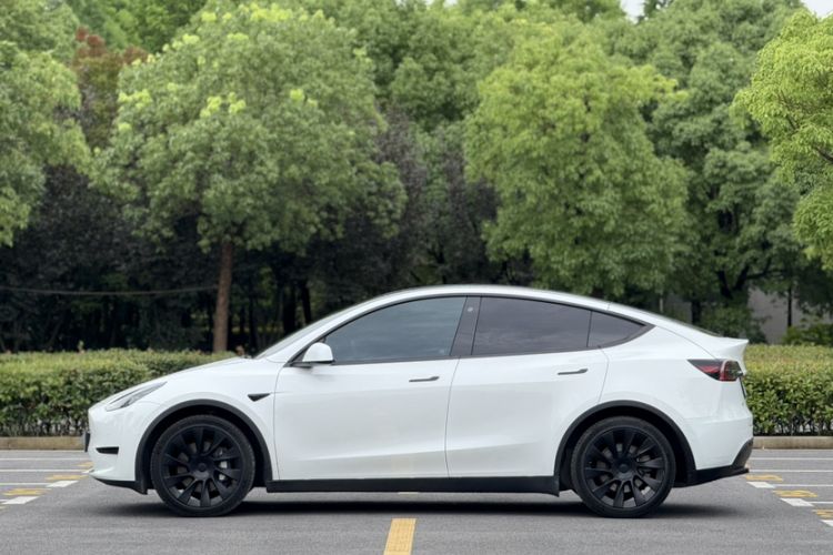 Used Tesla Model Y 2022 Revised Version Rear-Wheel Drive Exterior 7