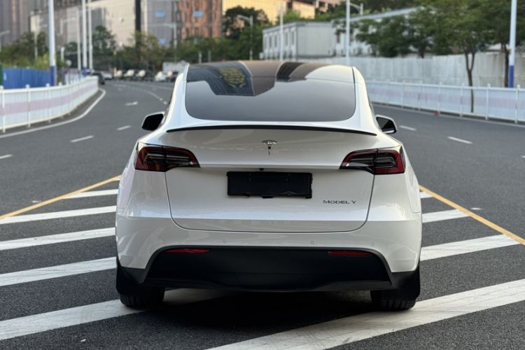 Used Tesla Model Y 2022 Rear-Wheel-Drive Version Exterior 7