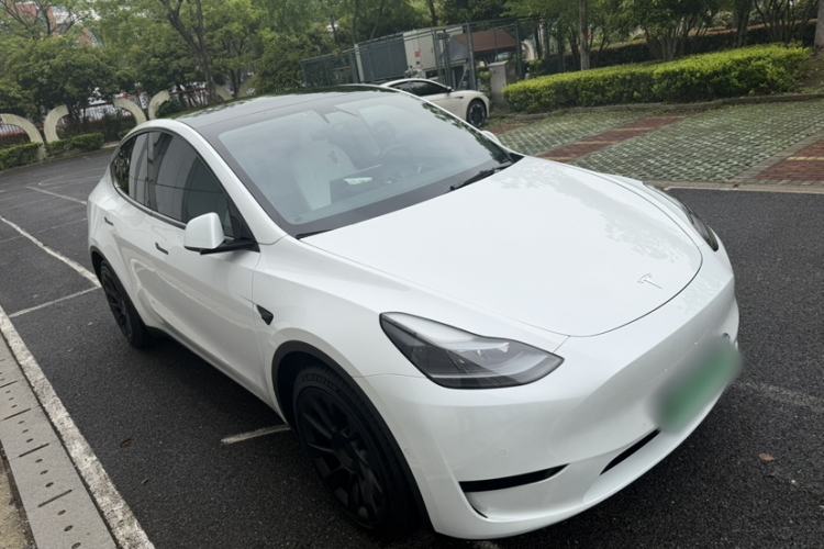 Used Tesla Model Y 2022 Rear-Wheel-Drive Version Exterior 8