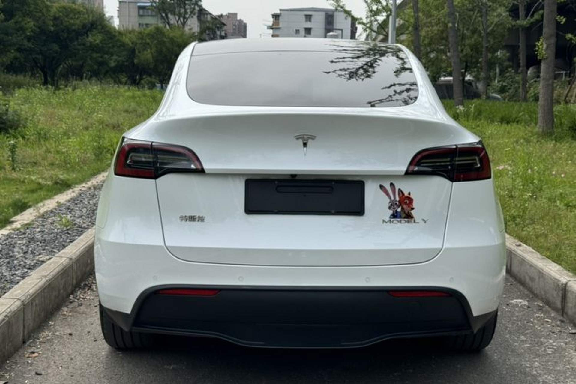 Used Tesla Model Y 2022 Revised Version Long-Range All-Wheel Drive Exterior 8
