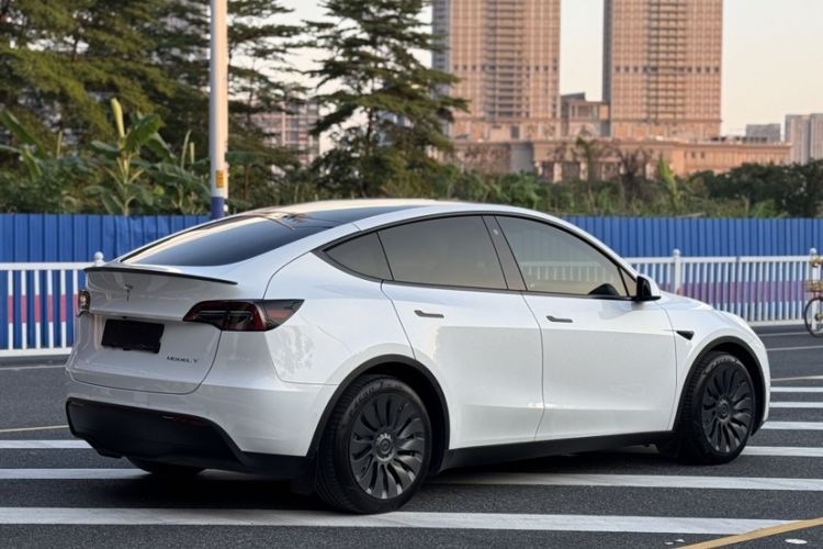 Used Tesla Model Y 2022 Rear-Wheel-Drive Version Exterior 8