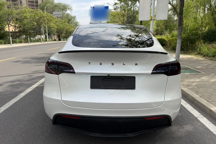 Used Tesla Model Y 2022 Revised Version Long-Range All-Wheel Drive Exterior 9