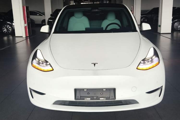 Used Tesla Model Y 2022 Performance High-Performance All-Wheel-Drive Version Front