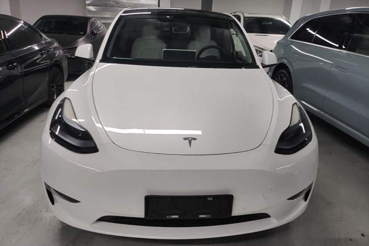 Used Tesla Model Y 2022 Performance High-Performance All-Wheel-Drive Version Front