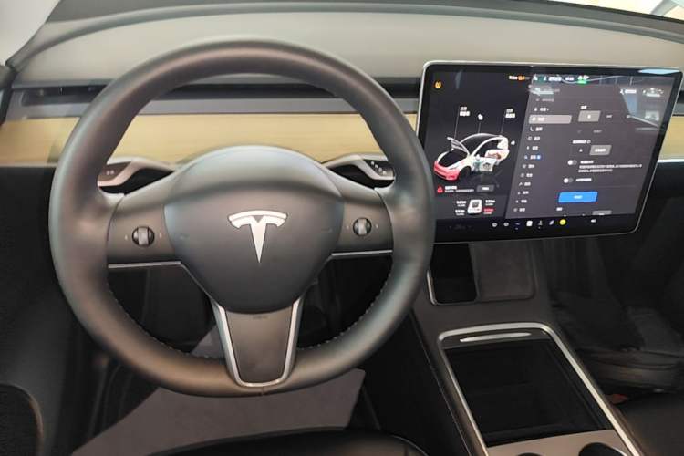 Used Tesla Model Y 2022 Revised Version Rear-Wheel Drive Gear Lever