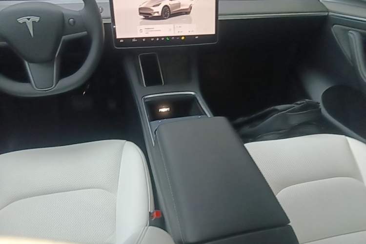 Used Tesla Model Y 2022 Rear-Wheel-Drive Version Gear Lever