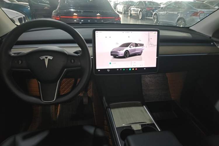 Used Tesla Model Y 2022 Revised Version Rear-Wheel Drive Gear Lever