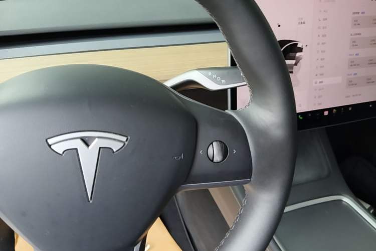 Used Tesla Model Y 2022 Revised Version Rear-Wheel Drive Gear Lever