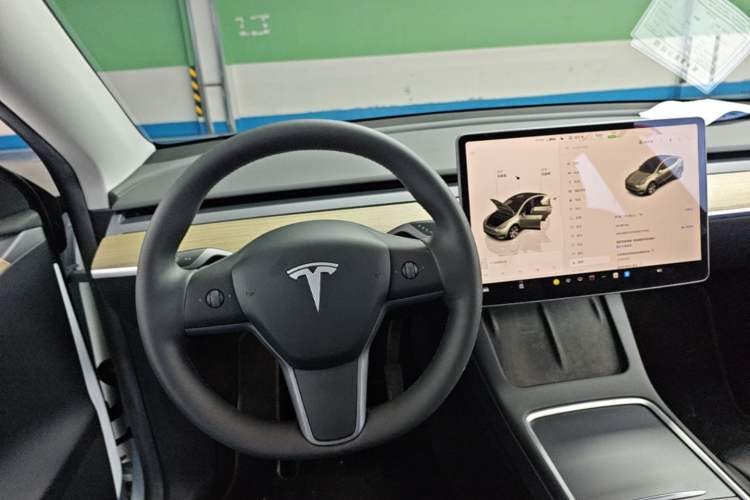 Used Tesla Model Y 2022 Revised Version Rear-Wheel Drive Gear Lever