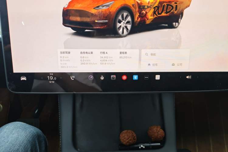 Used Tesla Model Y 2022 Revised Version Rear-Wheel Drive Gear Lever
