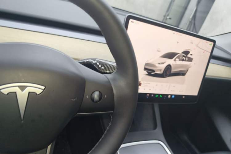 Used Tesla Model Y 2022 Performance High-Performance All-Wheel-Drive Version Gear Lever