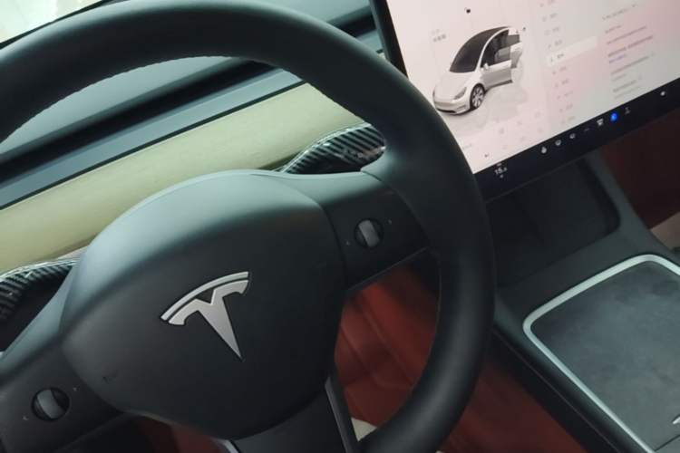 Used Tesla Model Y 2022 Revised Version Rear-Wheel Drive Gear Lever