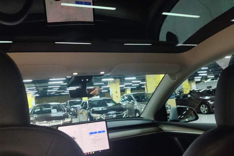 Used Tesla Model Y 2022 Long-Range All-Wheel-Drive Version Headliner