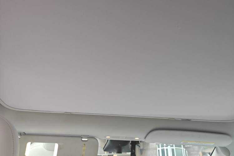 Used Tesla Model Y 2022 Revised Version Rear-Wheel Drive Headliner
