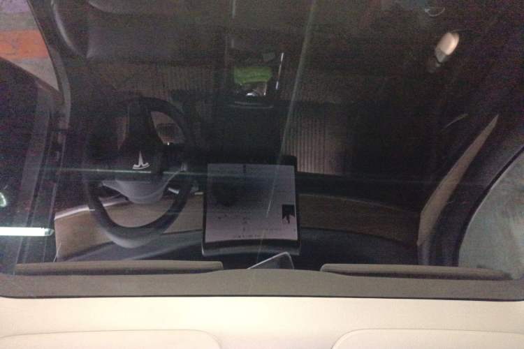 Used Tesla Model Y 2022 Rear-Wheel-Drive Version Headliner