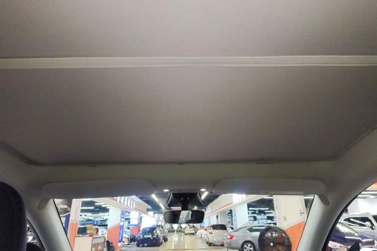Used Tesla Model Y 2022 Performance High-Performance All-Wheel-Drive Version Headliner