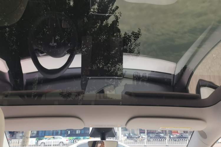 Used Tesla Model Y 2022 Performance High-Performance All-Wheel-Drive Version Headliner