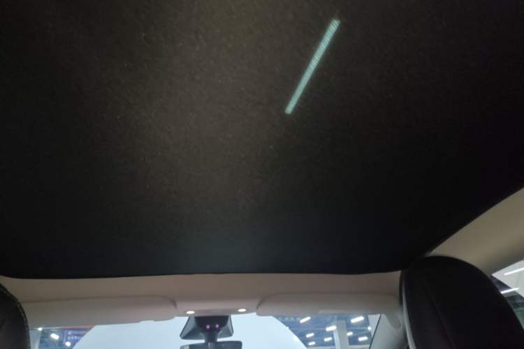 Used Tesla Model Y 2022 Rear-Wheel-Drive Version Headliner