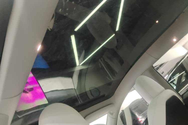 Used Tesla Model Y 2022 Performance High-Performance All-Wheel-Drive Version Headliner