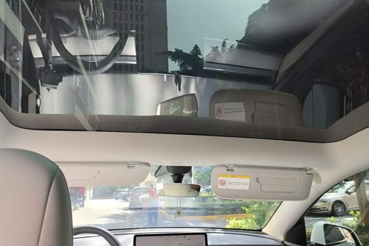 Used Tesla Model Y 2022 Rear-Wheel-Drive Version Headliner