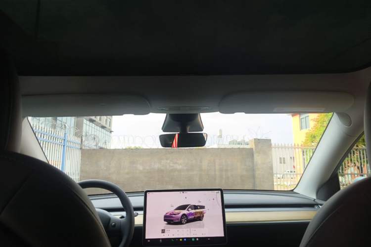 Used Tesla Model Y 2022 Revised Version Rear-Wheel Drive Headliner