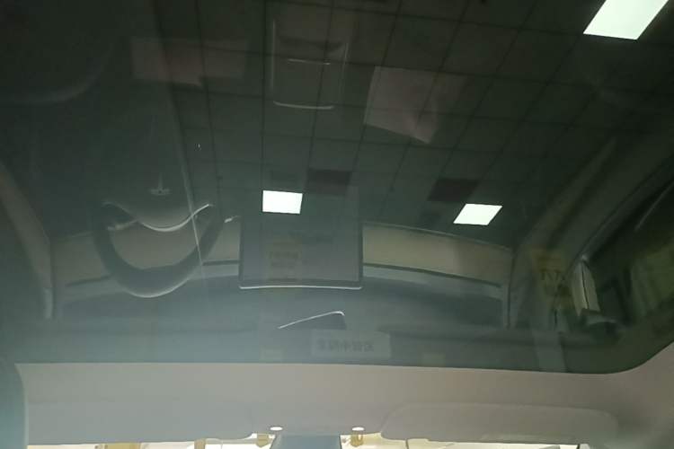 Used Tesla Model Y 2022 Revised Version Rear-Wheel Drive Headliner