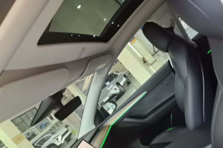 Used Tesla Model Y 2022 Performance High-Performance All-Wheel-Drive Version Headliner
