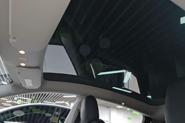 Used Tesla Model Y 2022 Long-Range All-Wheel-Drive Version Headliner