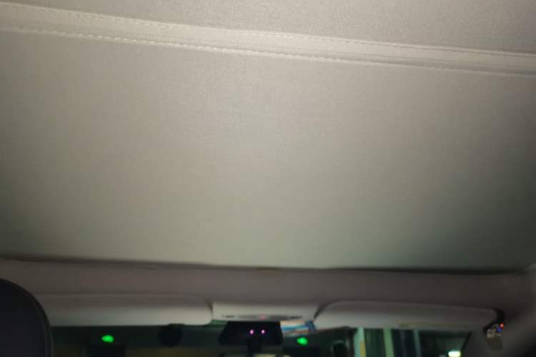 Used Tesla Model Y 2022 Rear-Wheel-Drive Version Headliner