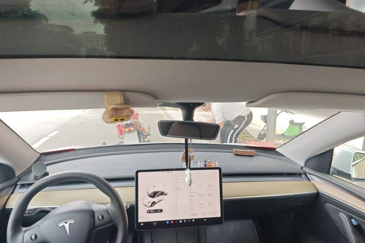 Used Tesla Model Y 2022 Rear-Wheel-Drive Version Headliner