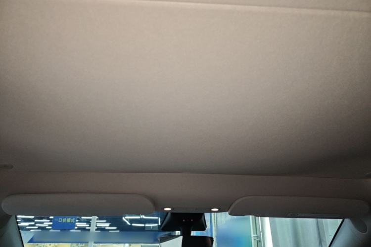 Used Tesla Model Y 2022 Revised Version Long-Range All-Wheel Drive Headliner