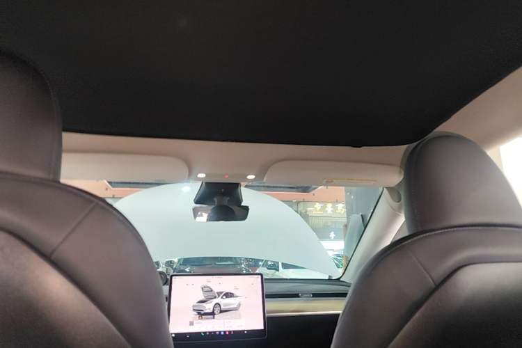 Used Tesla Model Y 2022 Long-Range All-Wheel-Drive Version Headliner