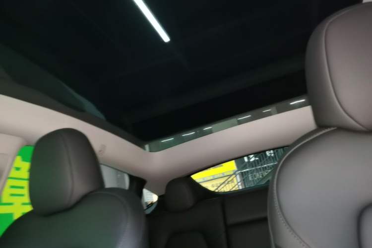 Used Tesla Model Y 2022 Performance High-Performance All-Wheel-Drive Version Headliner