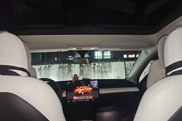 Used Tesla Model Y 2022 Rear-Wheel-Drive Version Headliner