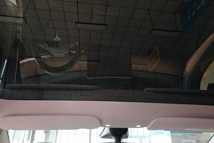 Used Tesla Model Y 2022 Rear-Wheel-Drive Version Headliner