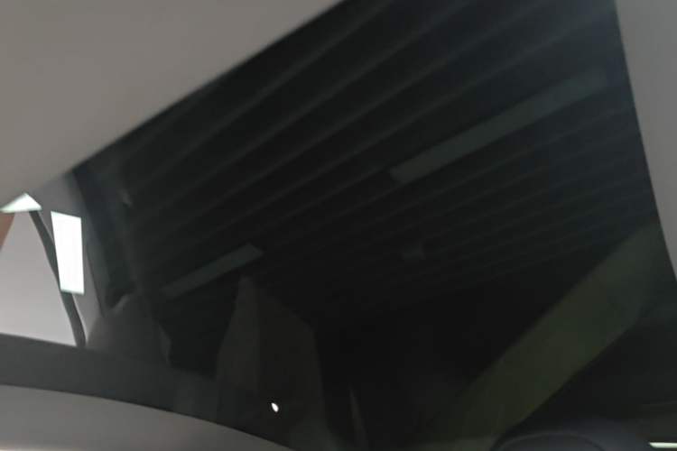 Used Tesla Model Y 2022 Long-Range All-Wheel-Drive Version Headliner