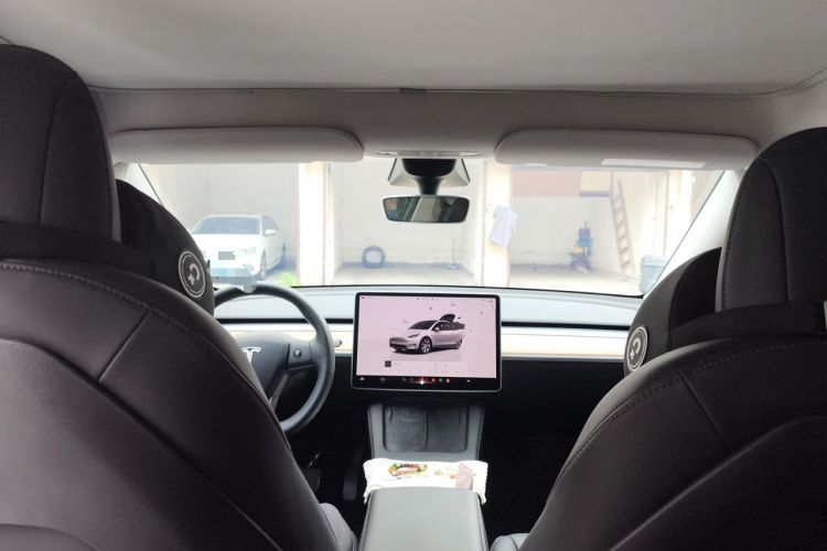 Used Tesla Model Y 2022 Rear-Wheel-Drive Version Headliner