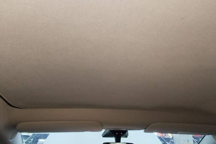 Used Tesla Model Y 2022 Rear-Wheel-Drive Version Headliner