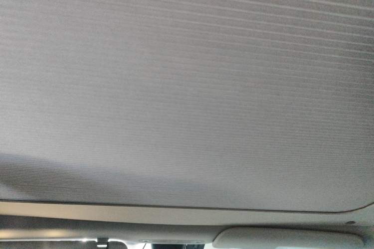 Used Tesla Model Y 2022 Rear-Wheel-Drive Version Headliner