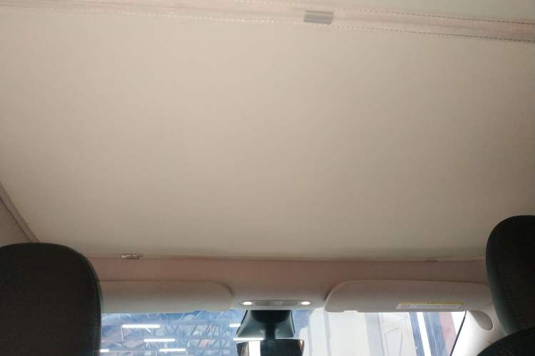Used Tesla Model Y 2022 Revised Version Rear-Wheel Drive Headliner