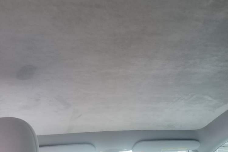 Used Tesla Model Y 2022 Revised Version Rear-Wheel Drive Headliner
